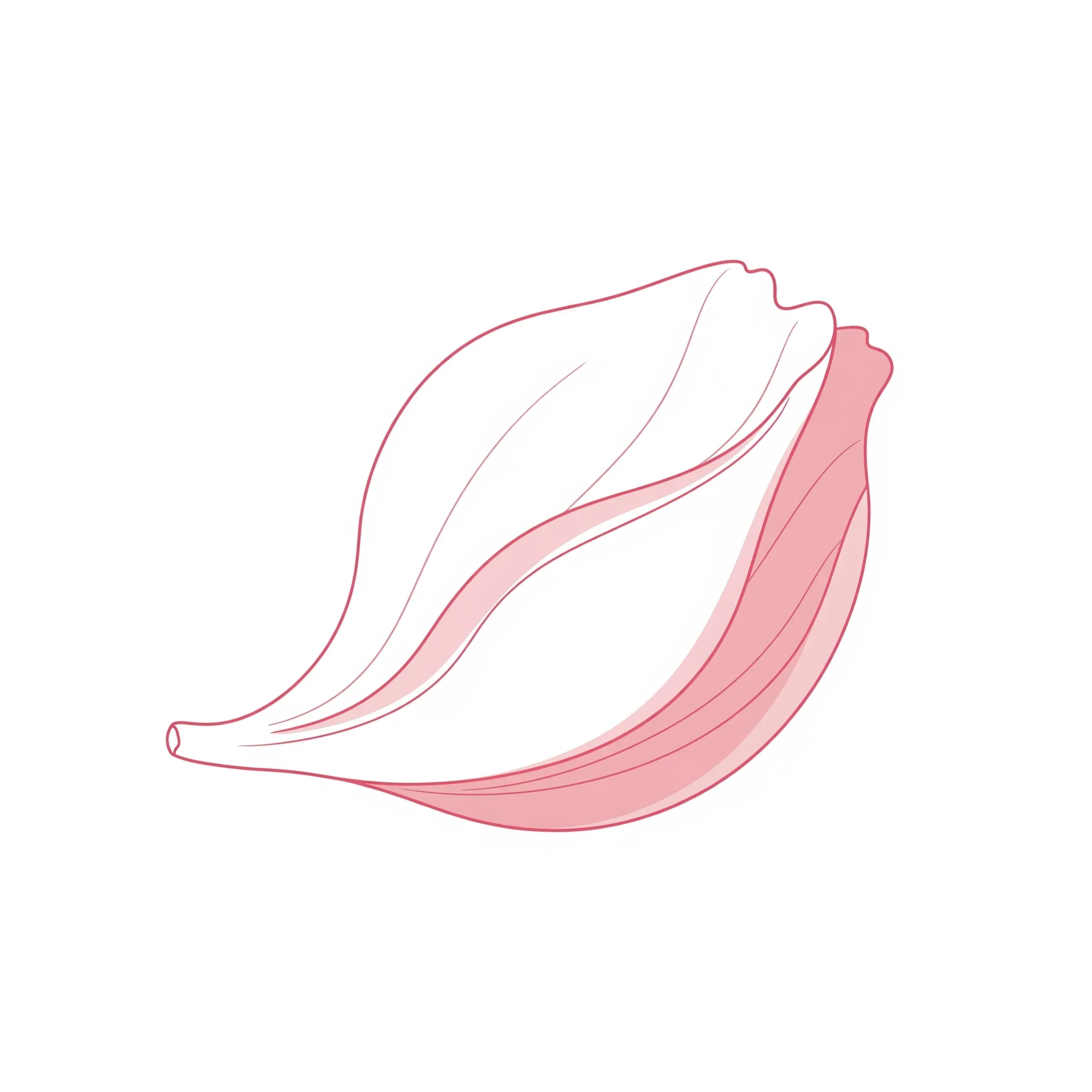 Hymenoplasty, Labiaplasty